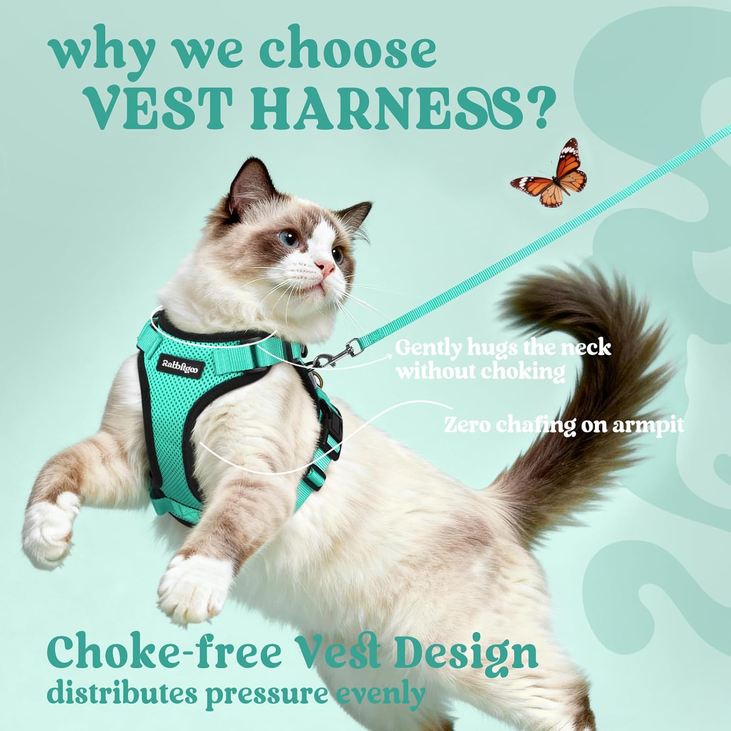 Cat wearing a green harness with text explaining its benefits on a light blue background at Pet Servo