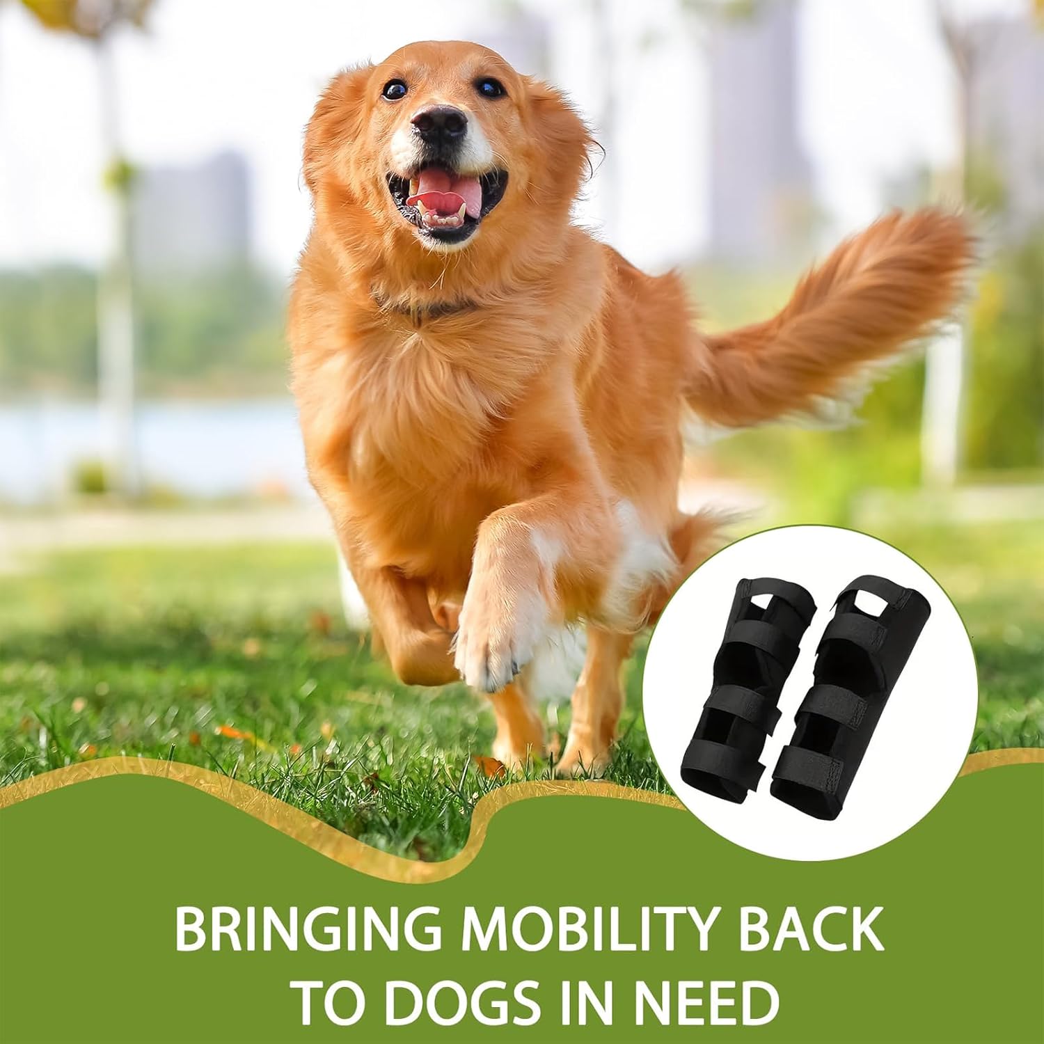 Dog running outdoors with a product inset and text about mobility support for dogs at Pet Servo