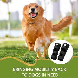 Dog running outdoors with a product inset and text about mobility support for dogs at Pet Servo