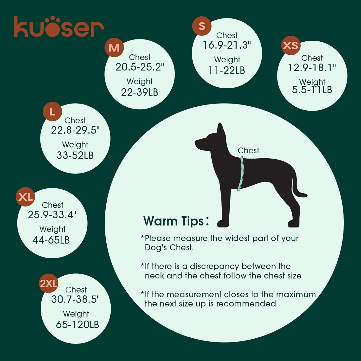 Dog size chart by Kuoser with measurements and warm tips on a green background at Pet Servo