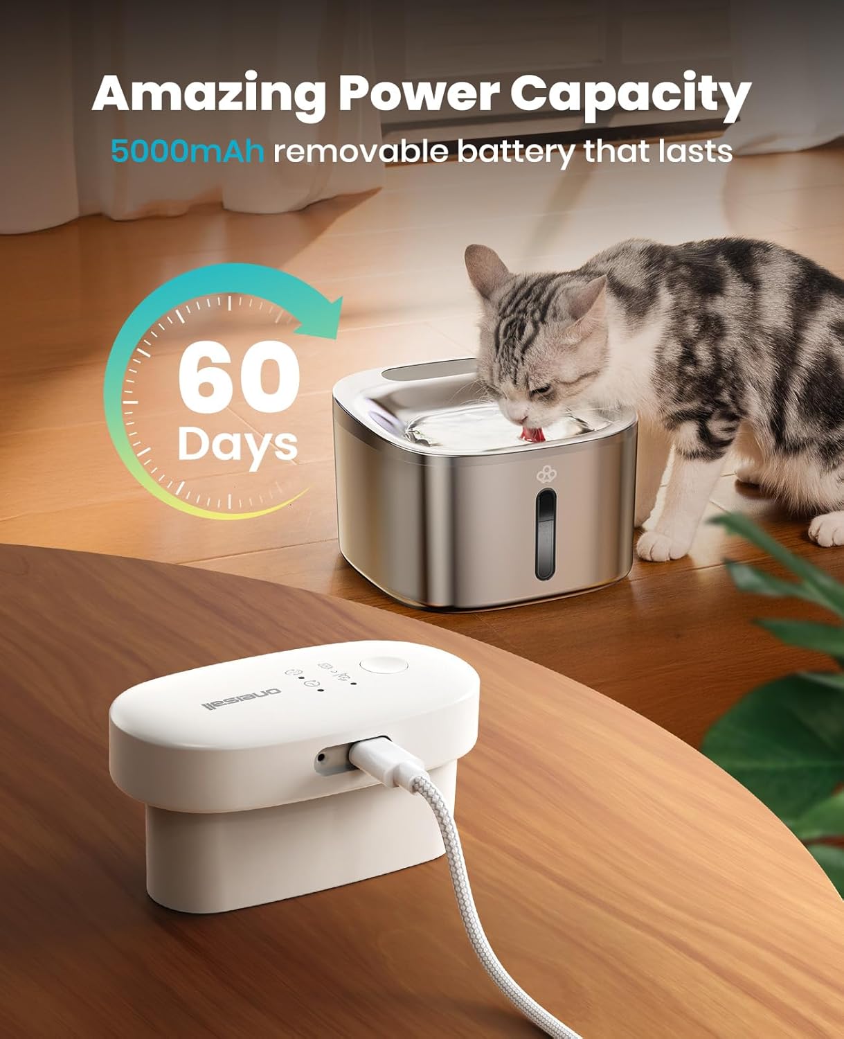 Buy oneisall - 3.5L Wireless Cat Water Fountain at Pet Servo