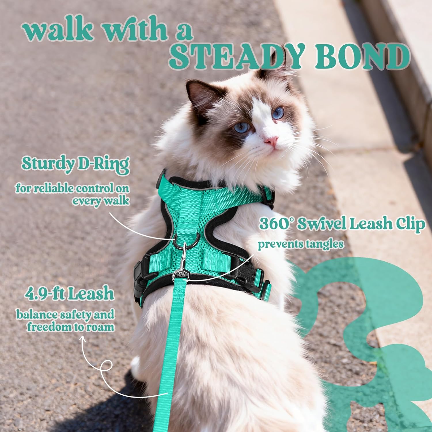 Cat wearing a green harness and leash with text highlighting features, on a pavement background at Pet Servo