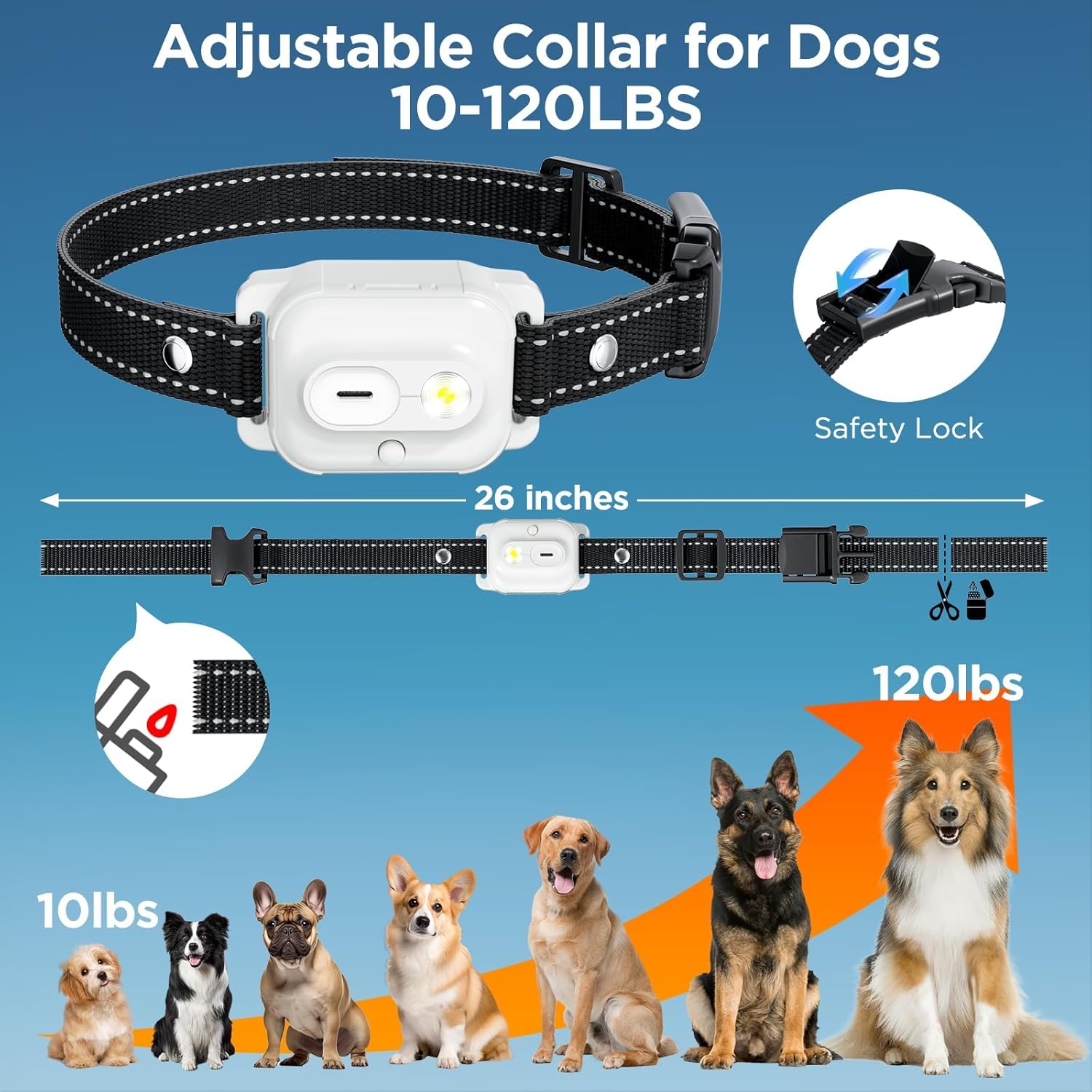 Adjustable collar for dogs with size chart and safety lock feature on a blue background at Pet Servo