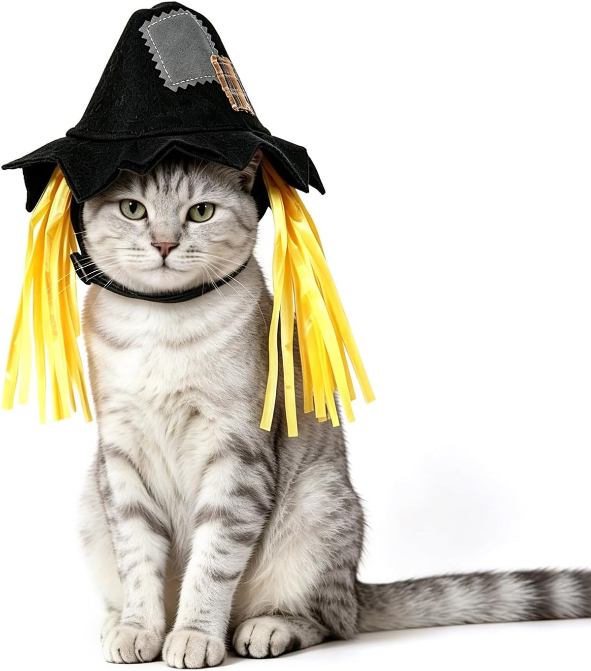 Namnan - Pet Cat Hat Scarecrow Cap Halloween Cosplay Costume at Pet Servo