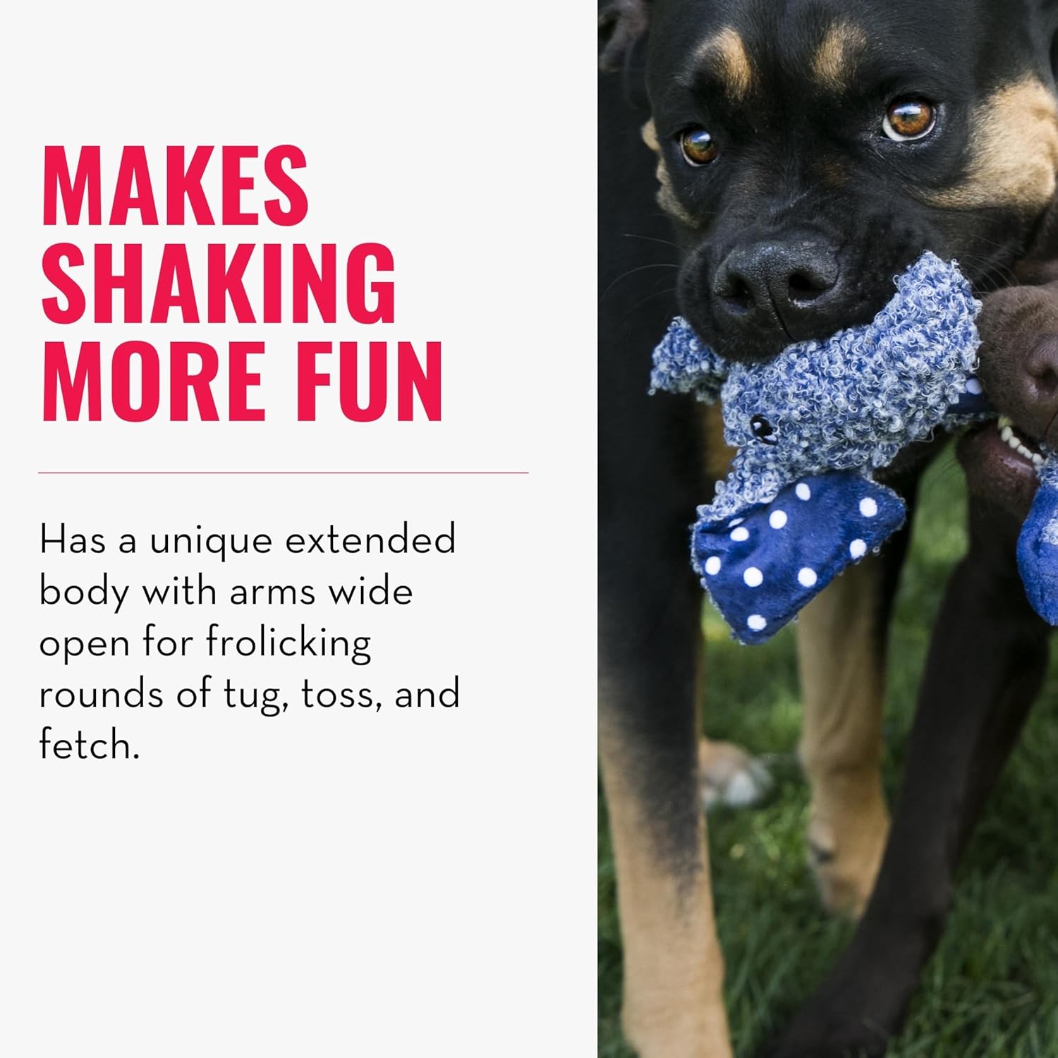 Dog playing with a blue toy, text about the toy's features on the left at Pet Servo
