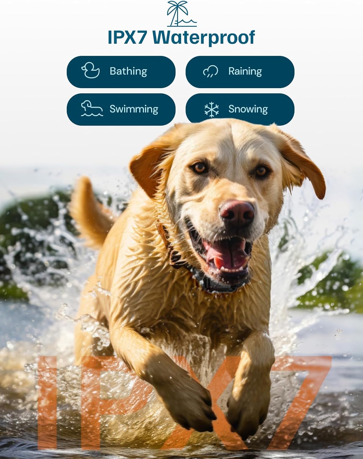Dog running through water with IPX7 waterproof text and icons above at Pet Servo