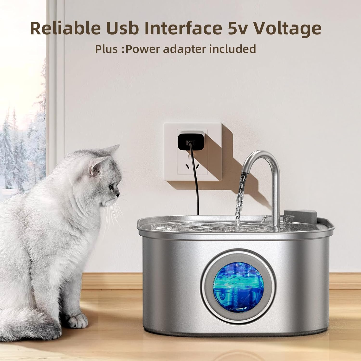 Cat looking at a pet water fountain with a power adapter on a wall at Pet Servo