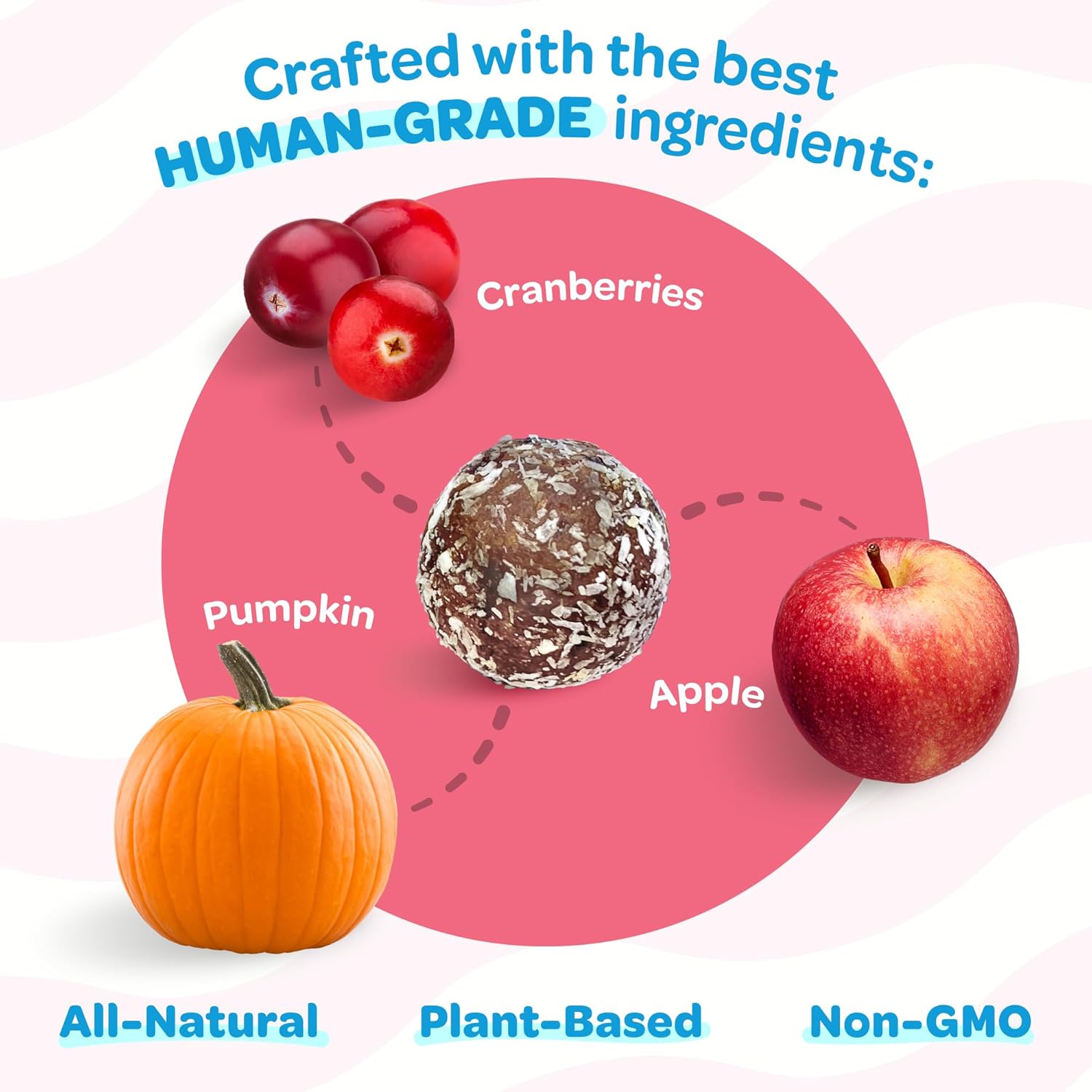 Ingredients used in a product, including cranberries, pumpkin, and apple, with text highlighting 'Human-Grade' and 'All-Natural' attributes at Pet Servo