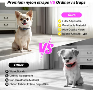 Comparison of premium nylon dog straps vs ordinary straps with two dogs wearing different types of collars at Pet Servo