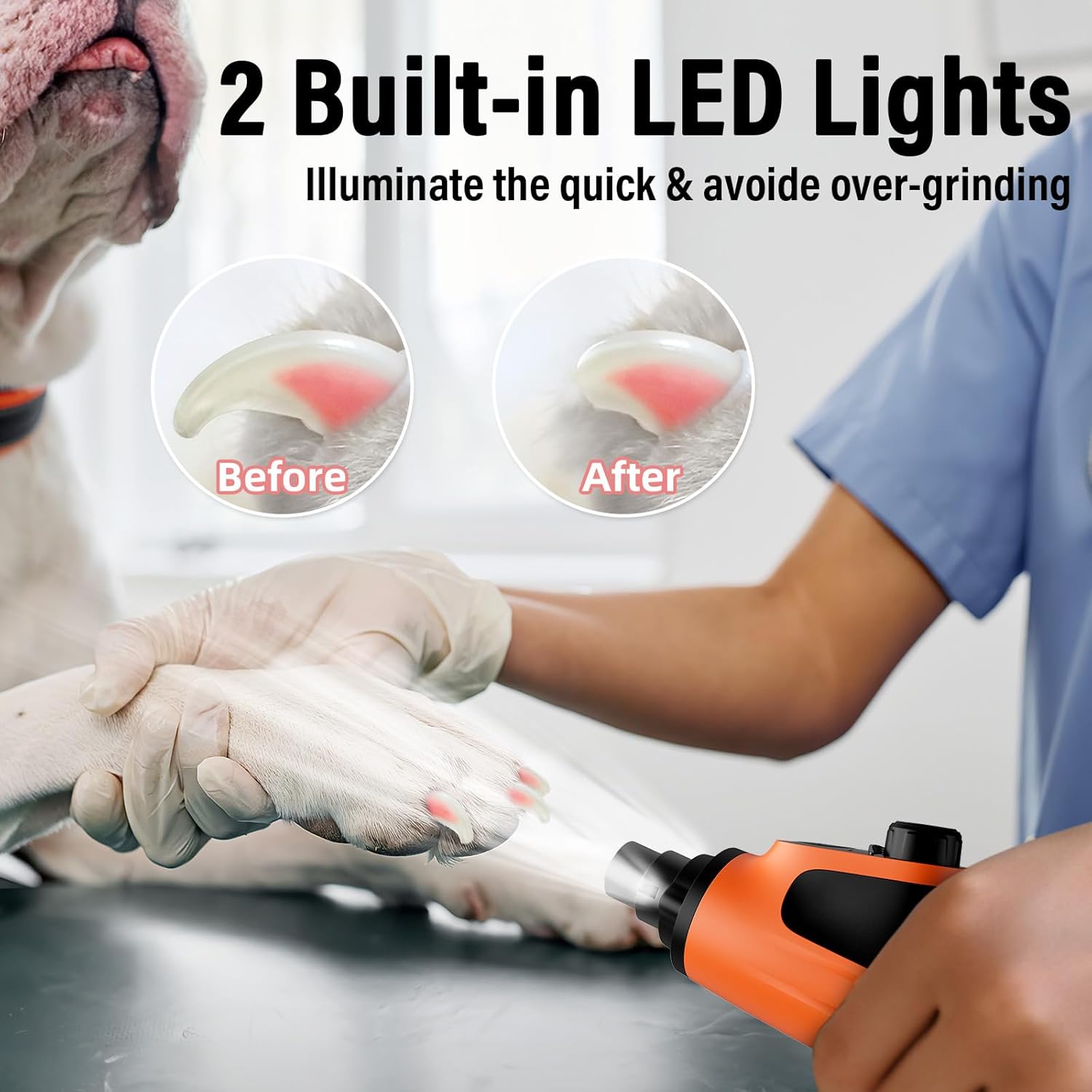 Buy Casfuy 6-Speed Pet Nail Grinder with 2 LED Lights at Pet Servo