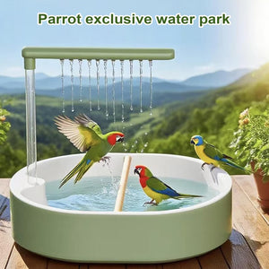 Parrot exclusive water park with parrots playing in a pool outdoors at Pet Servo