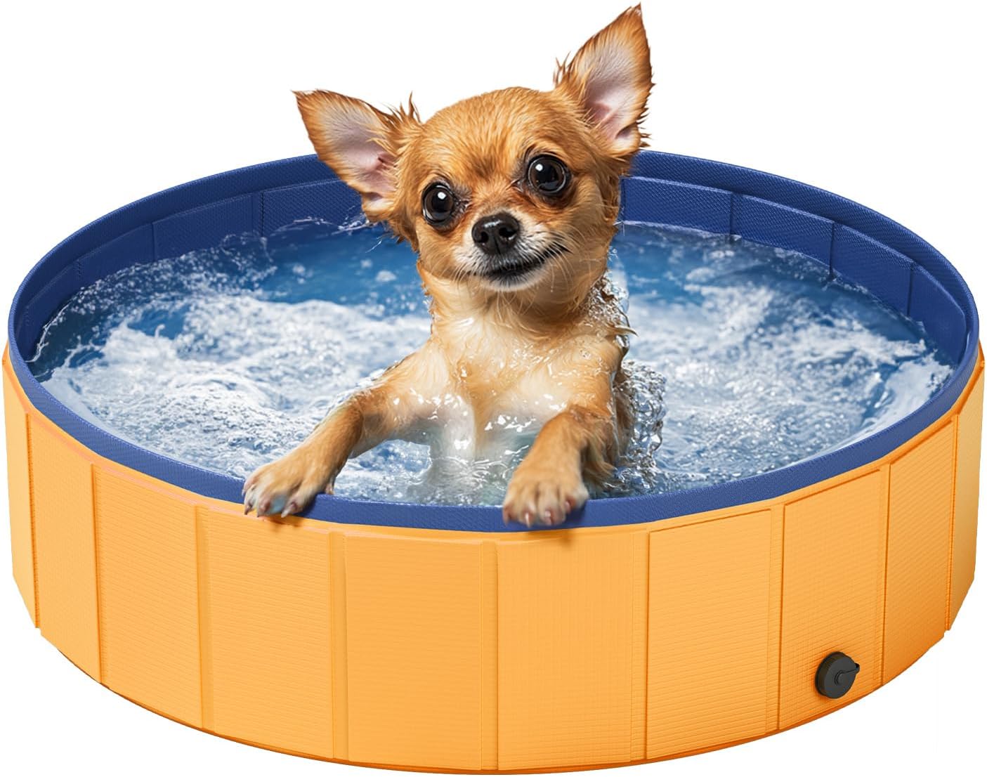Small dog in a blue and orange inflatable pool on a white background at Pet Servo