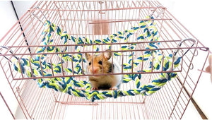 Hamster in a cage with a colorful rope hammock at Pet Servo