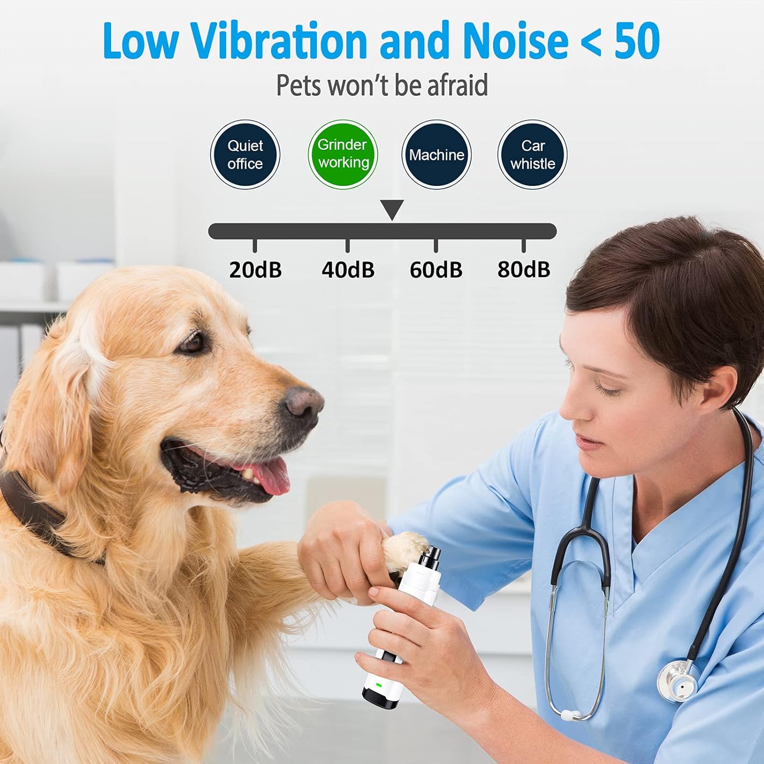 Dog being examined by a veterinarian with a low vibration and noise level indicator at Pet Servo