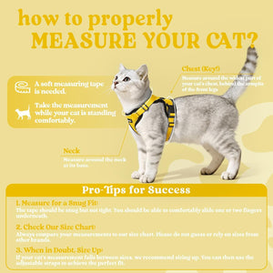 Cat measurement guide with text and a cat wearing a harness on a yellow background at Pet Servo