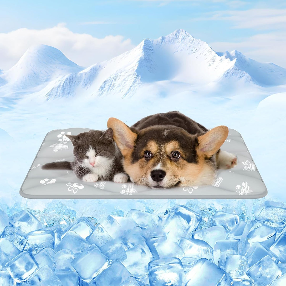 A gray cooling mat with a small gray-and-white kitten and a tan-and-black dog resting on it, set against a snowy mountain and ice cube background.