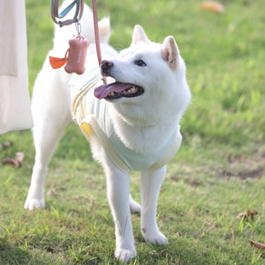 White dog on a leash with a grassy background at Pet Servo