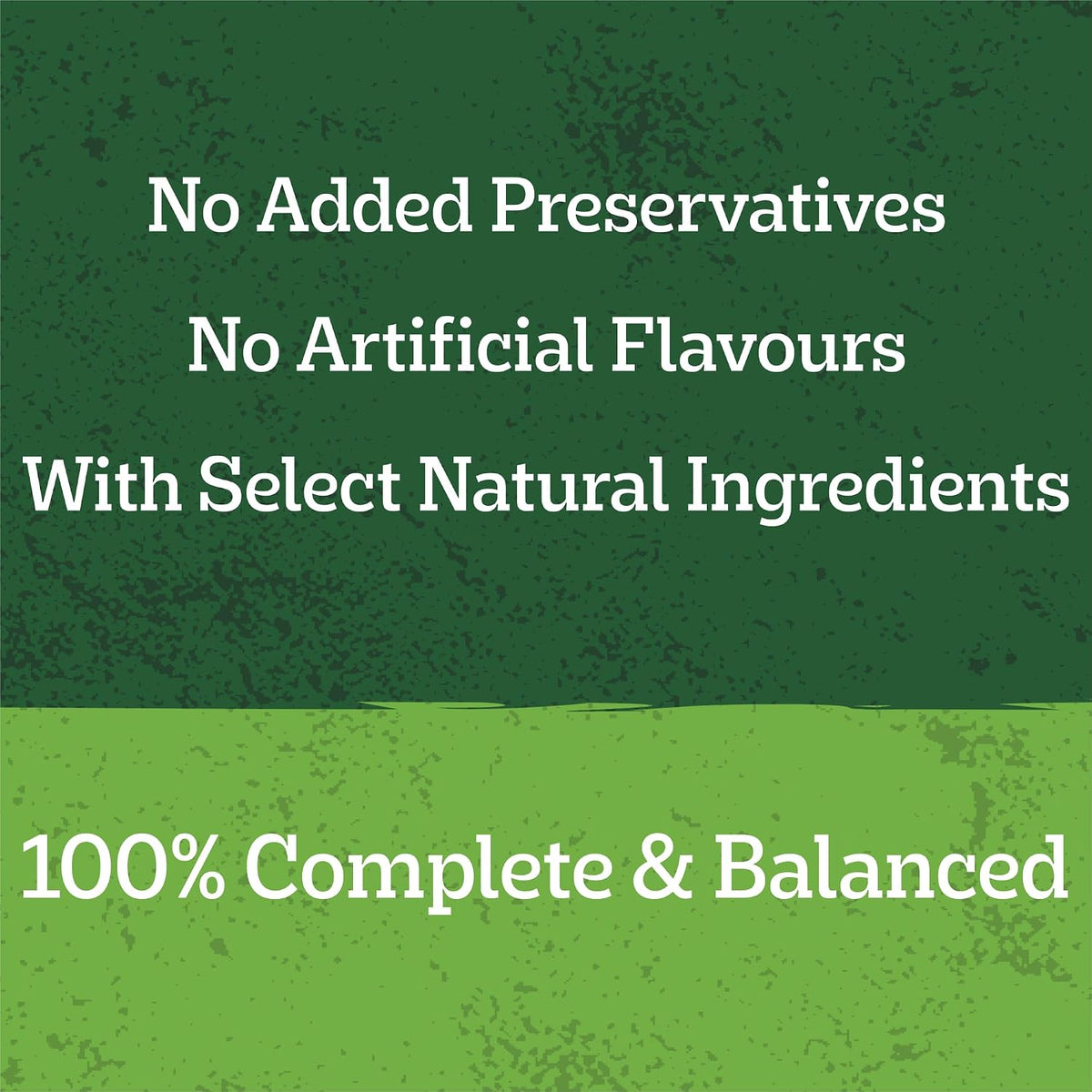 A green and light green textured graphic with white text reading 'No Added Preservatives', 'No Artificial Flavors', 'With Select Natural Ingredients', and '100% Complete & Balanced'.
