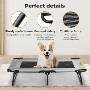 Dog lying on a pet bed with features highlighted on the side at Pet Servo
