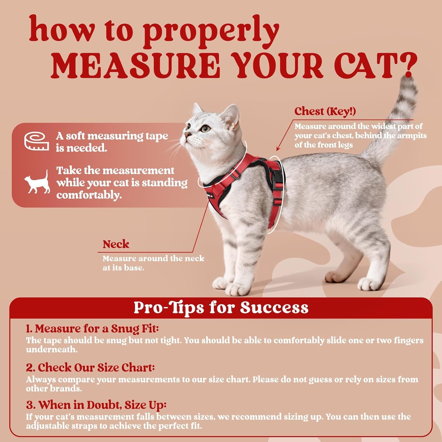 Infographic on how to properly measure a cat with text and diagram at Pet Servo