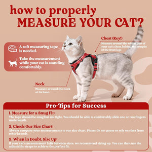 Infographic on how to properly measure a cat with text and diagram at Pet Servo