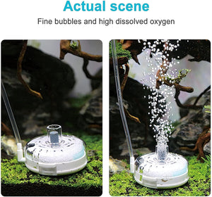 Aquarium air stone with bubbles in an aquarium setting at Pet Servo