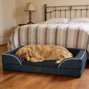 Casa Paw - Non-Slip Orthopedic Bed with Washable Cover for XL Dogs, Navy Blue at Pet Servo