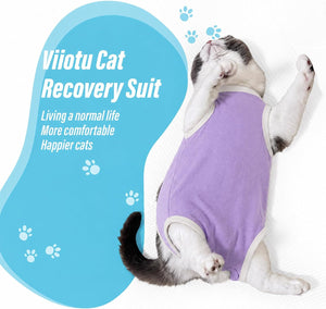 Viiotu - Soft Post-Surgery Recovery Suit for Female Cats, Purple at Pet Servo