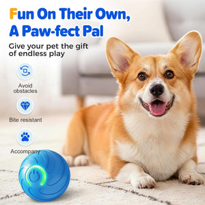 Dog with a blue toy labeled 'A Paw-fect Pal' on a light background at Pet Servo