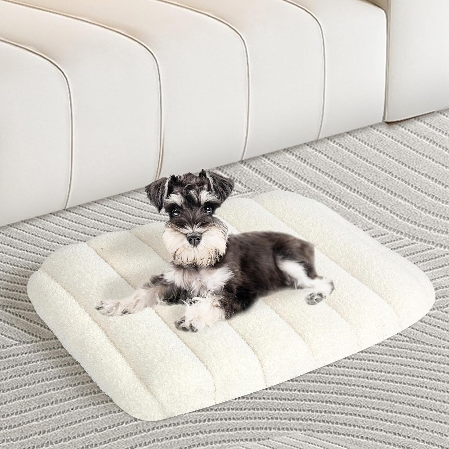 Pawz - Orthopedic Dog Bed with Egg Foam Support with Waterproof Lining (White) at Pet Servo