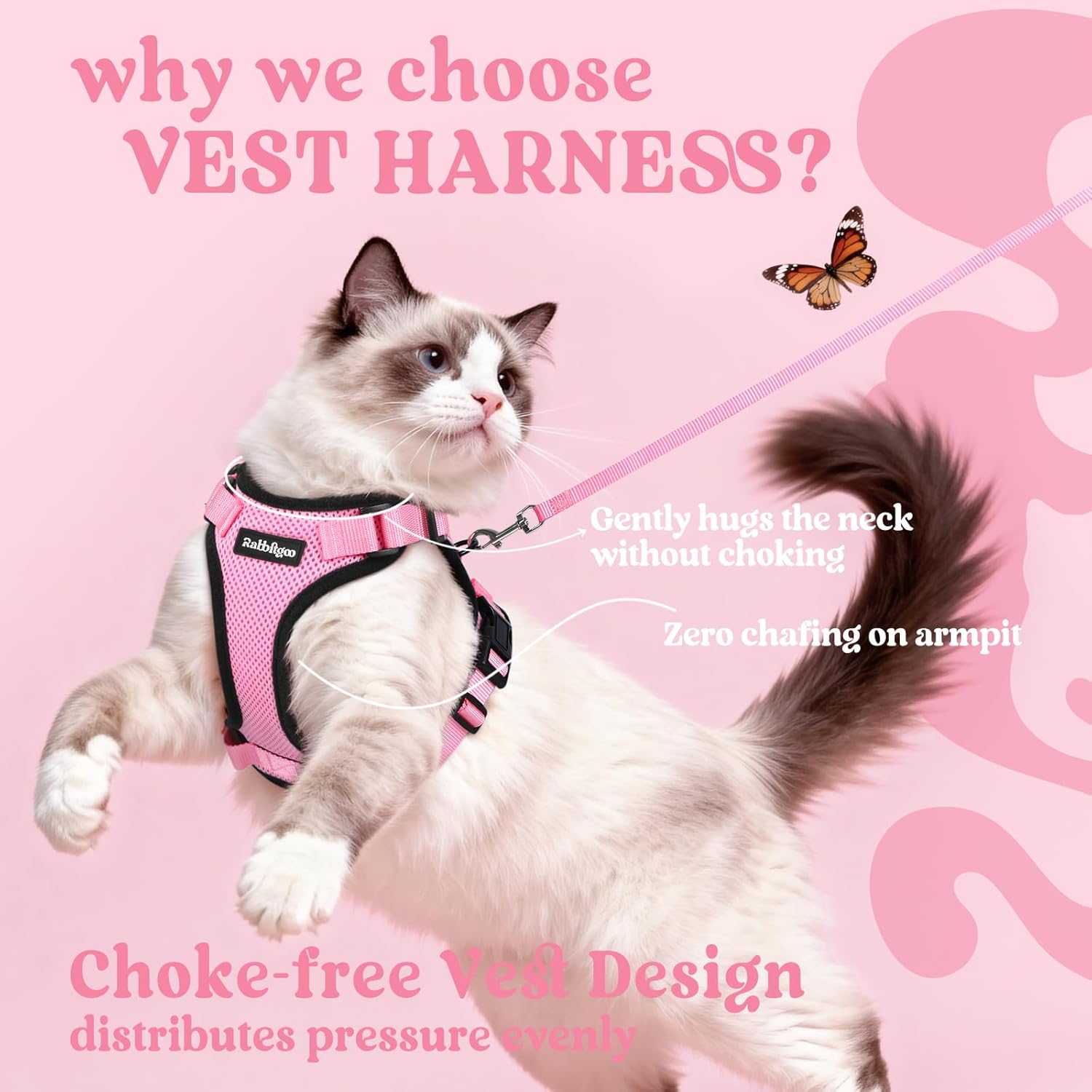 Cat wearing a pink harness on a pink background with text about the harness at Pet Servo
