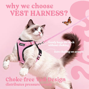 Cat wearing a pink harness on a pink background with text about the harness at Pet Servo