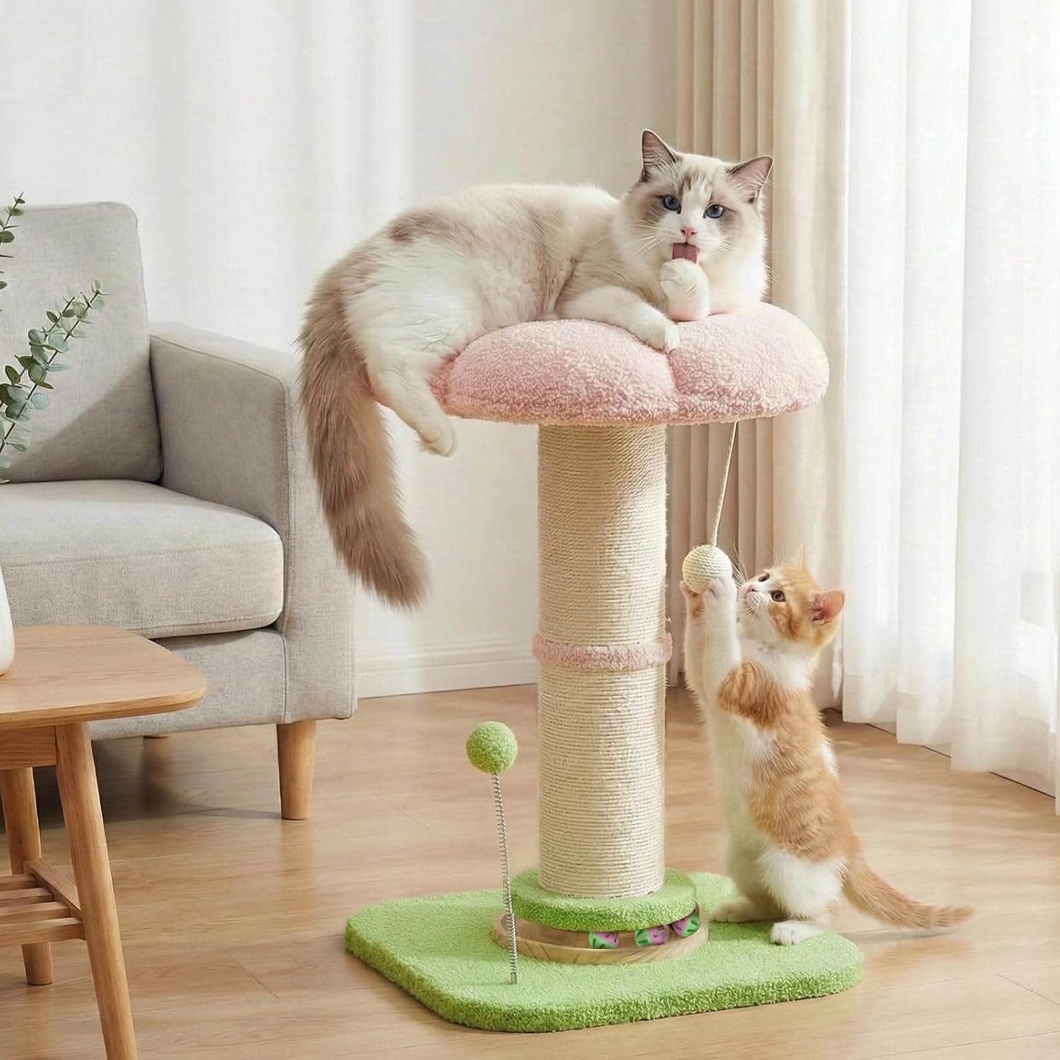A multi-level cat tree in a bright living room, with a large cream-colored cat resting on the top pink cushion and a smaller orange-and-white kitten playing on the lower level. The cat tree features a sisal-wrapped post, a pink mushroom-shaped top, and a green base with a toy at Pet Servo