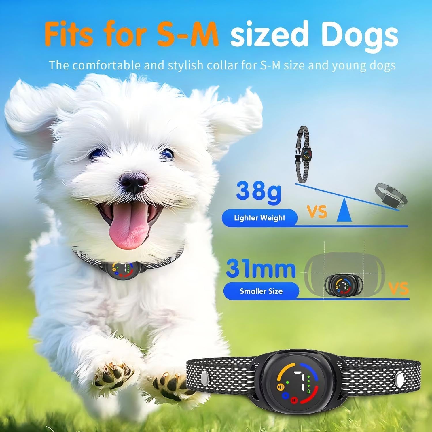Dog wearing a black dog collar with text highlighting features on a green background at Pet Servo