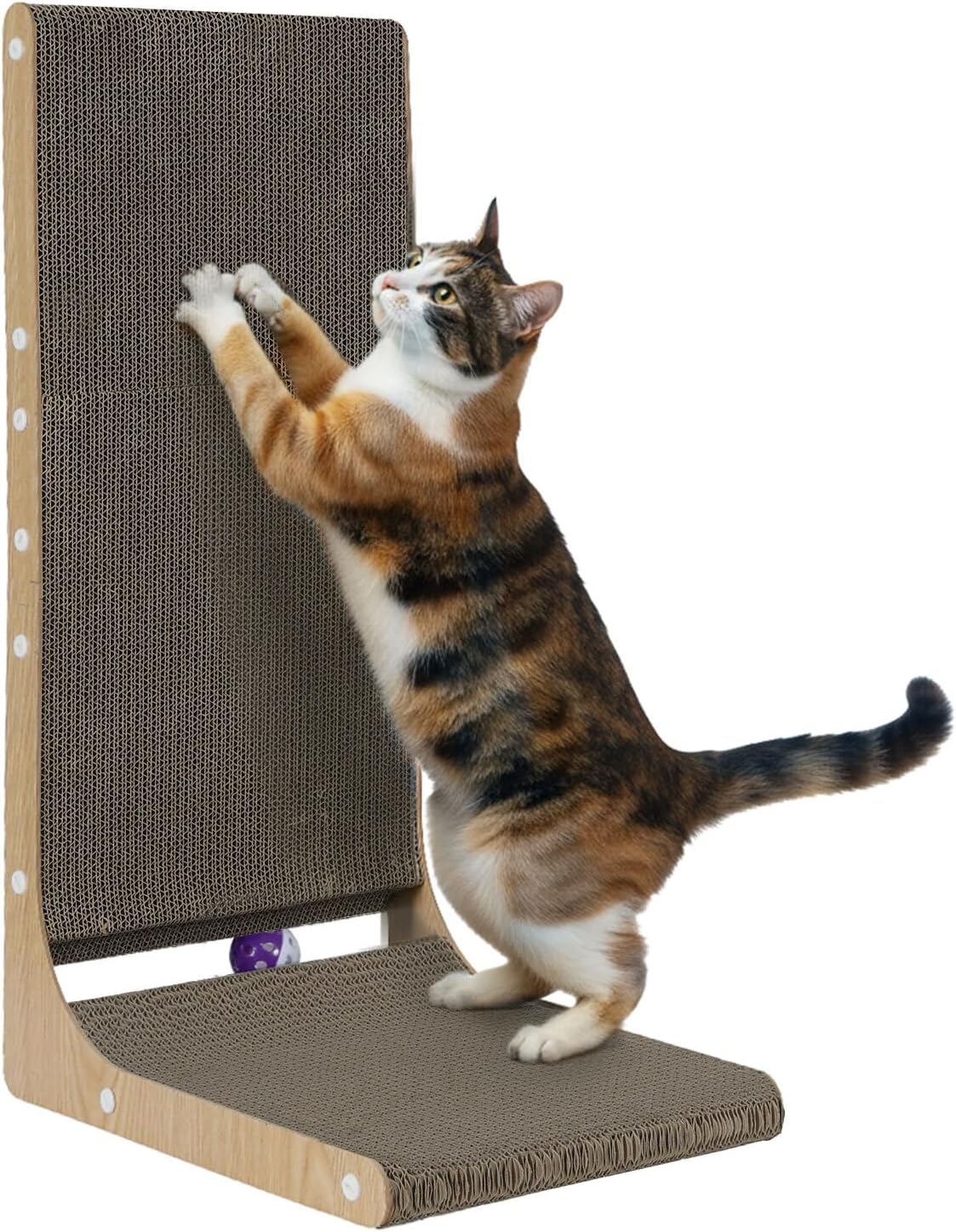 Cat standing on a cat scratcher with a white background at Pet Servo