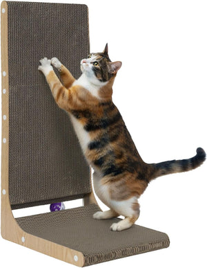 Cat standing on a cat scratcher with a white background at Pet Servo