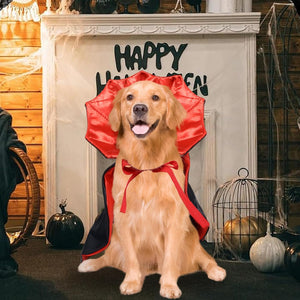 Dog wearing a red cape in front of a 'Happy Halloween' sign with pumpkins and decorations.