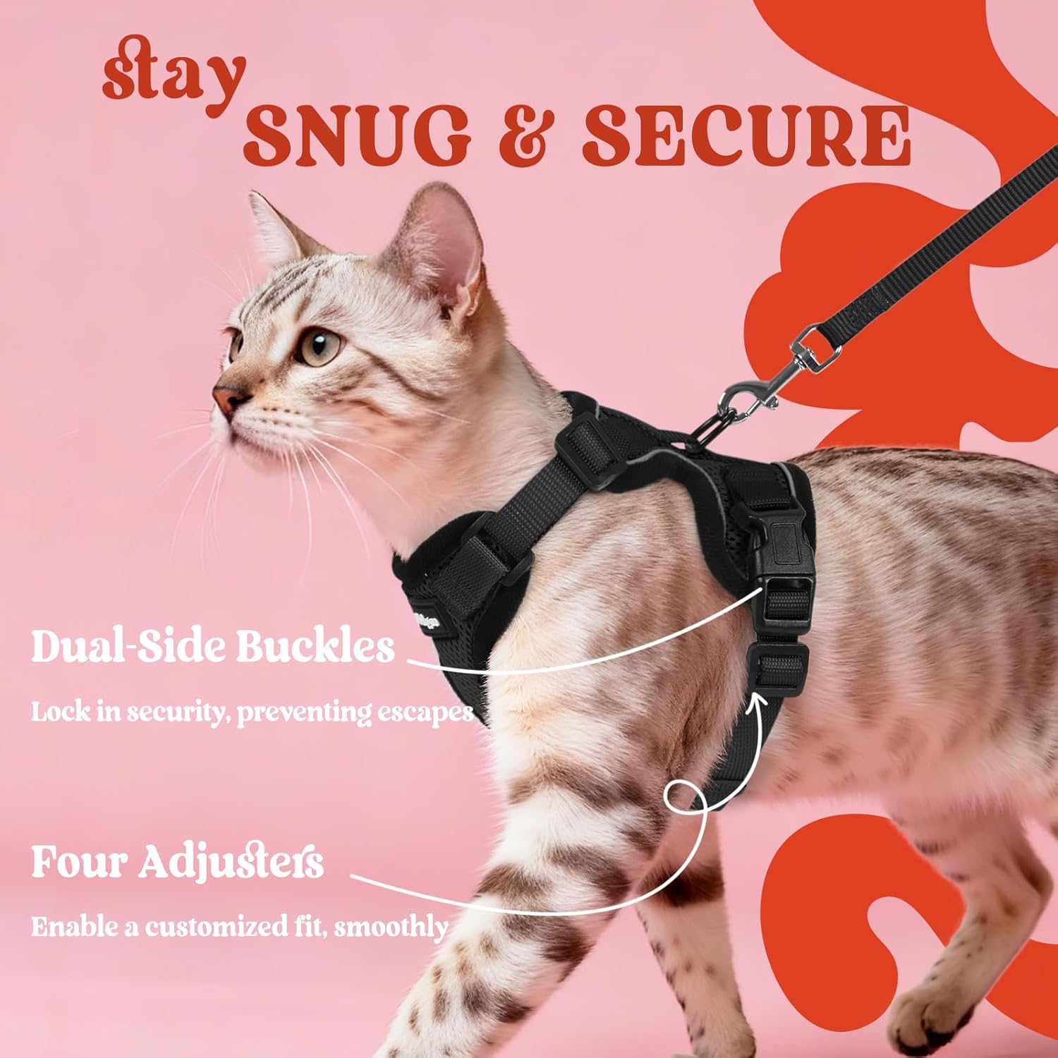 Cat wearing a harness with text on a pink background at Pet Servo