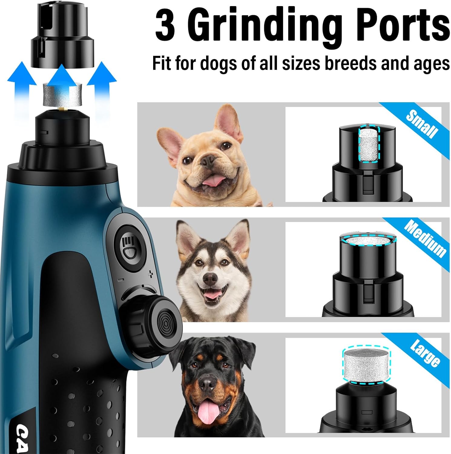 Buy Casfuy 6-Speed Pet Nail Grinder with 2 LED Lights at Pet Servo
