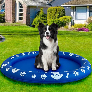 Dog sitting on a blue inflatable pad with paw prints in a grassy yard at Pet Servo
