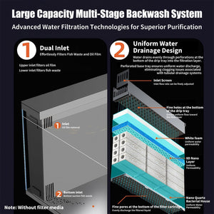 Diagram of a large capacity multi-stage backwash system with text explaining its features at Pet Servo