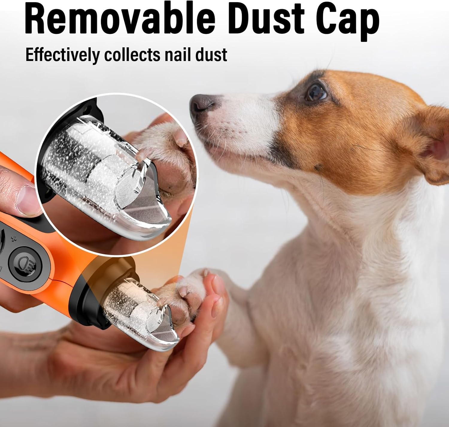 Buy Casfuy 6-Speed Pet Nail Grinder with 2 LED Lights at Pet Servo