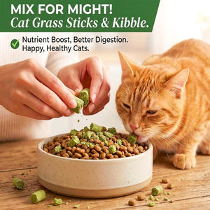 Cat eating from a bowl with cat grass sticks and kibble, hands adding more cat grass sticks at Pet Servo