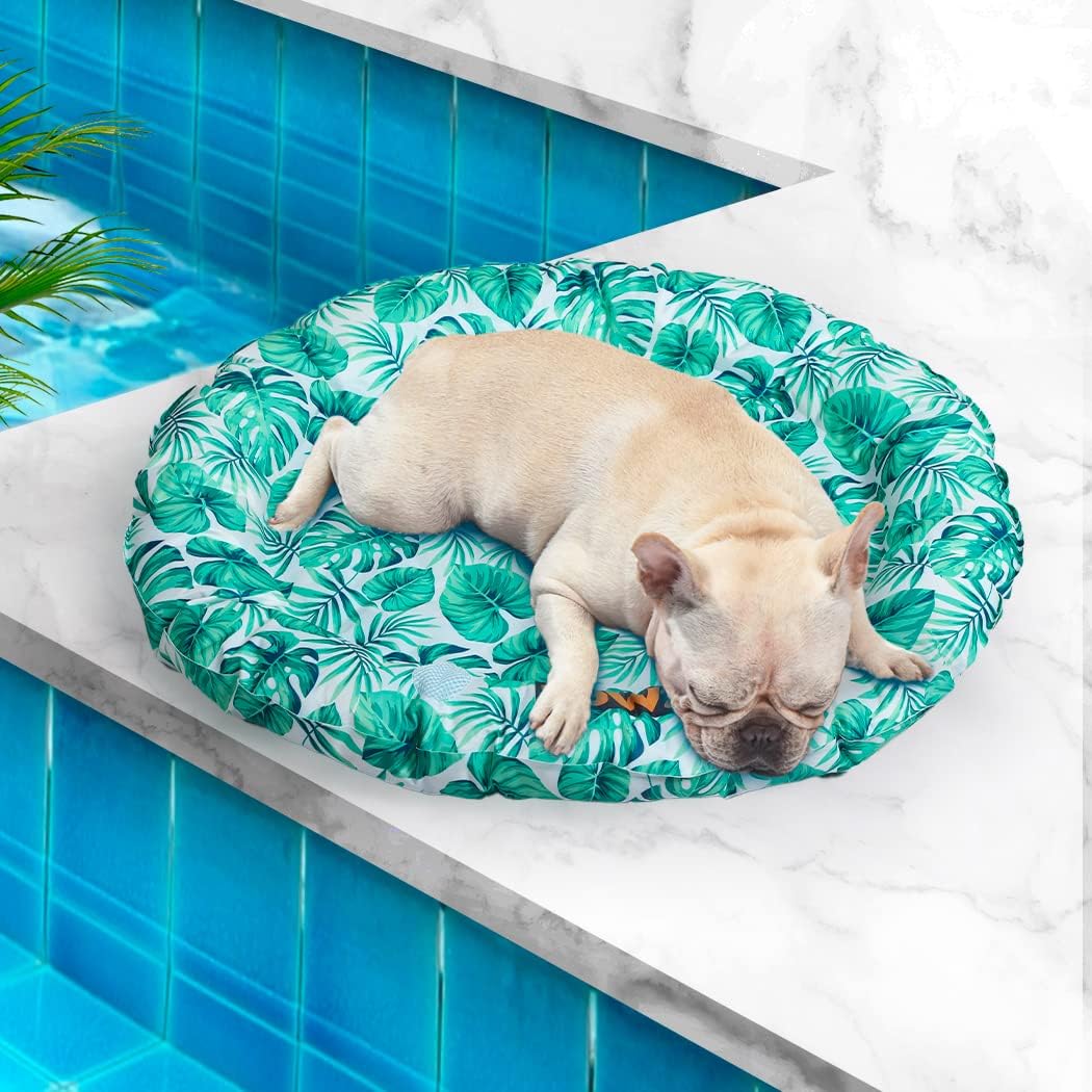 Dog lying on a green leaf-patterned pet bed by a pool at Pet Servo