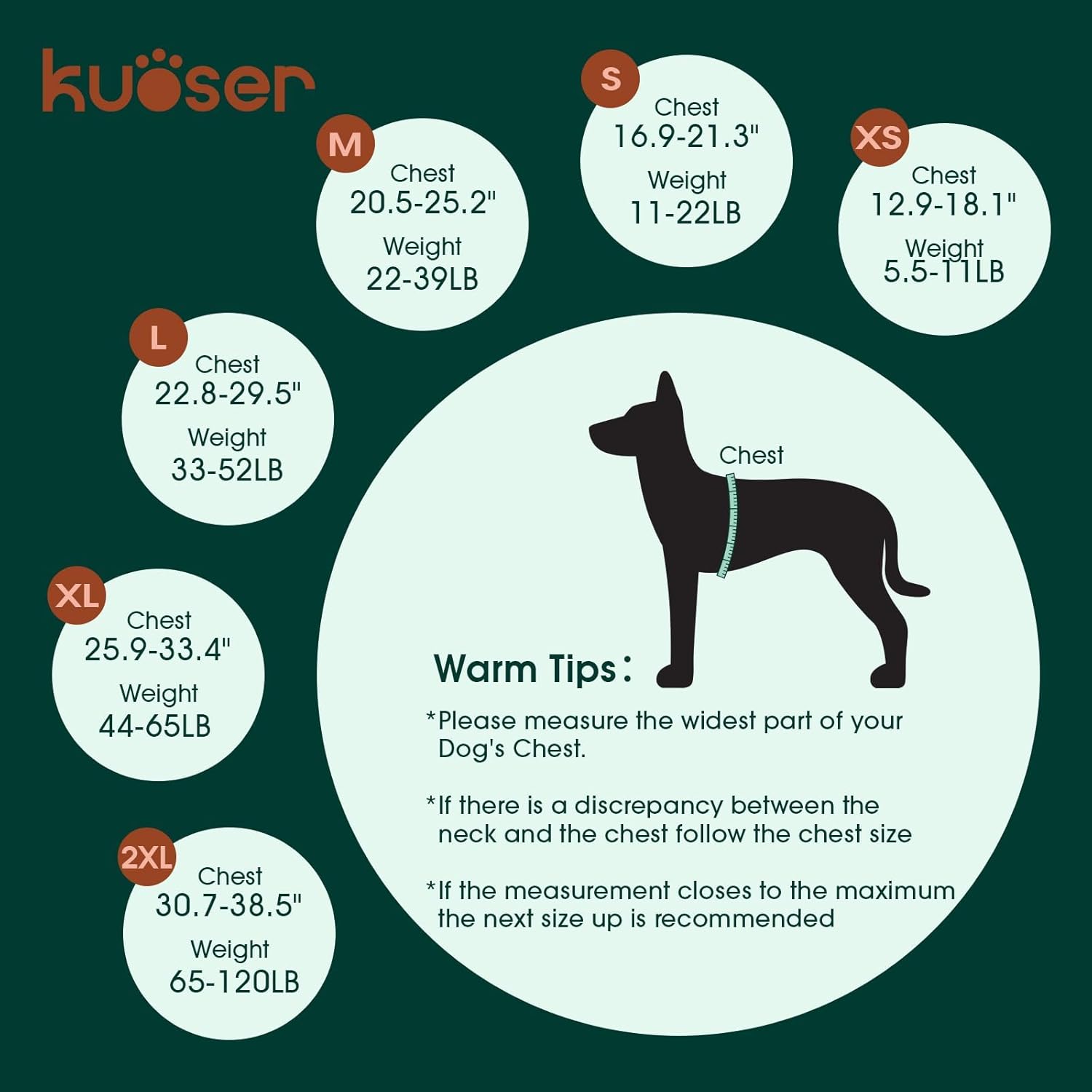 Dog size chart by Kuoser with measurements and warm tips on a green background at Pet Servo