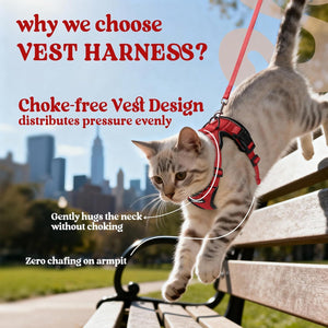 Cat wearing a red vest harness with text explaining its benefits, set against a cityscape background at Pet Servo