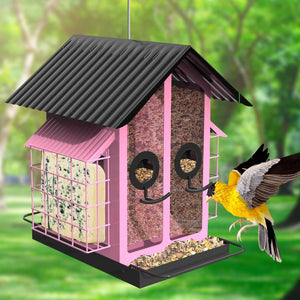 Pink bird feeder with a bird perched on it against a green forest background at Pet Servo