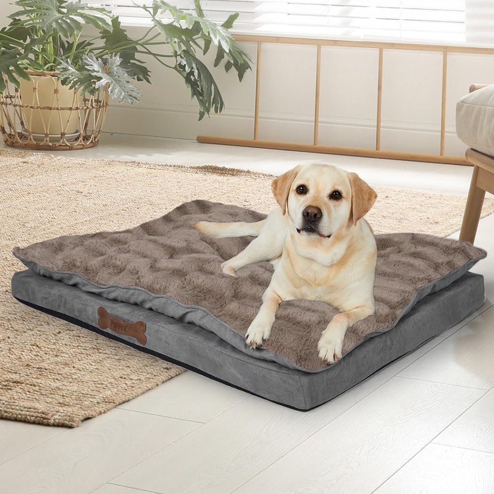 Dog lying on a large gray pet bed in a home setting with plants and furniture at Pet Servo