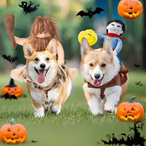 Two corgi dogs running on grass wearing Halloween costumes, with a rag doll on the left dog and a scarecrow figure on the right dog. The scene is decorated with jack-o'-lanterns and black bats against a blurred green outdoor background.