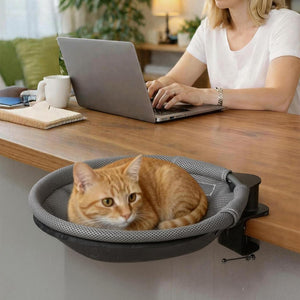 Buy Pawz 360° Rotating Cat Bed for Desk at Pet Servo